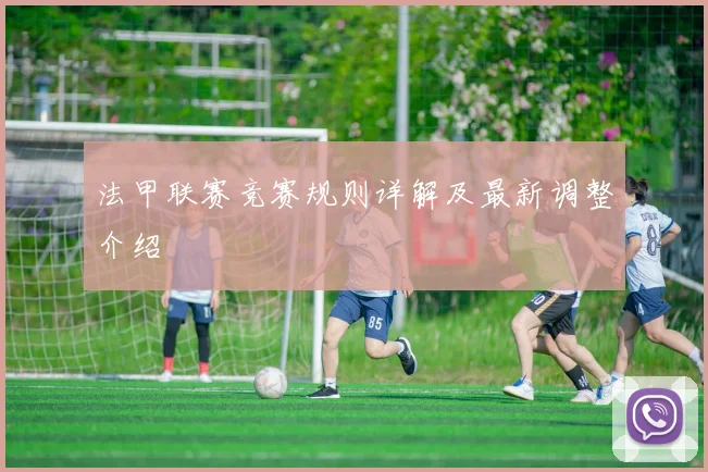 法甲联赛竞赛规则详解及最新调整介绍