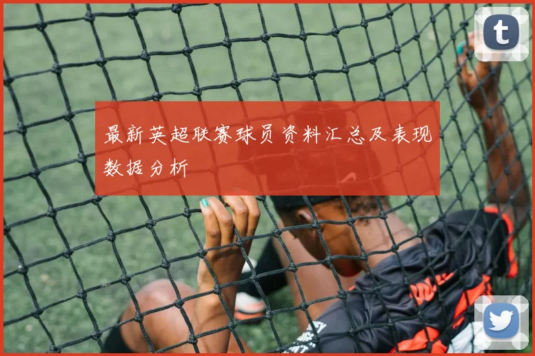 最新英超联赛球员资料汇总及表现数据分析