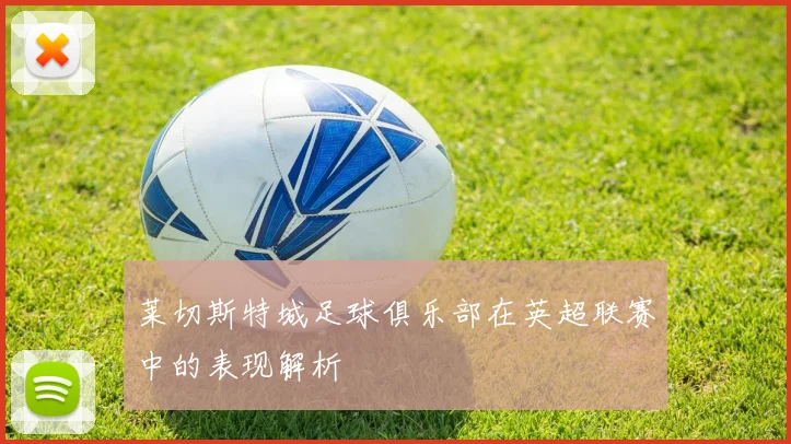 莱切斯特城足球俱乐部在英超联赛中的表现解析