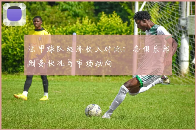法甲球队经济收入对比：各俱乐部财务状况与市场动向